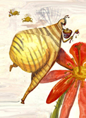 сборщики меда пчелы самсонов петрозаводск